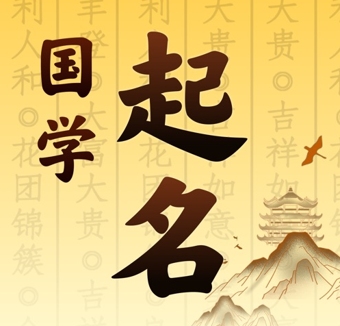 安庆国学起名 人工起名一对一